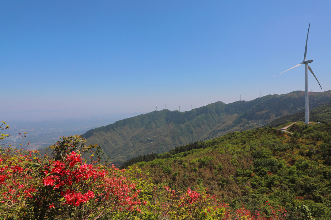 湖南新邵龙山图片