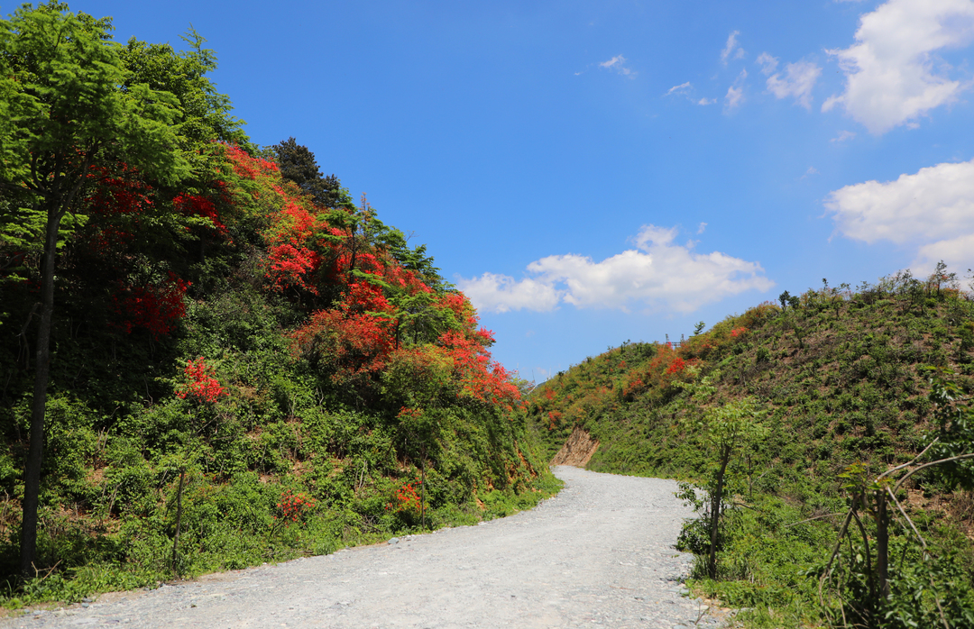 新邵龙山国家森林公园图片