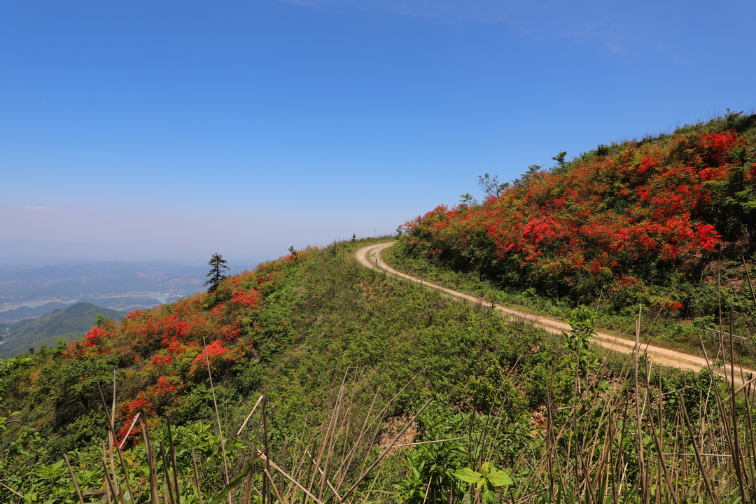 新邵龙山国家森林公园图片