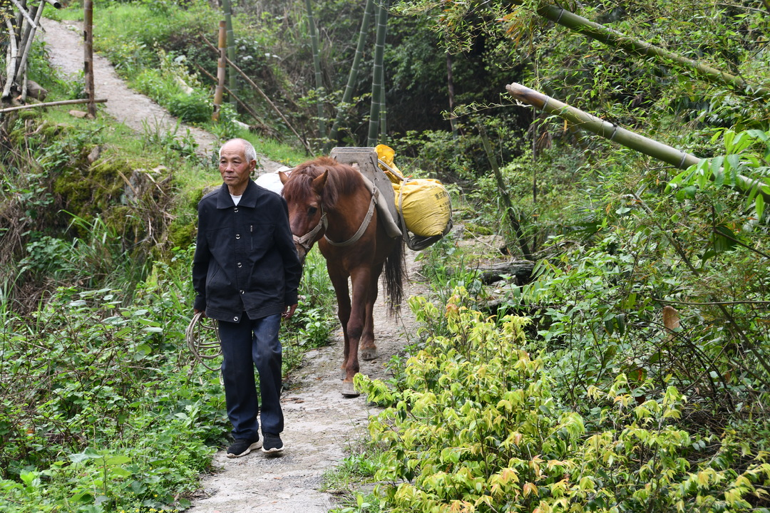 邵阳新邵：“马上邮递员” 46年为乡亲送货上门