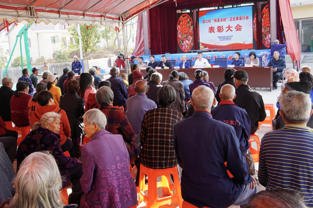 新田铺镇双六村举行和美乡村卫生革命表彰会议
