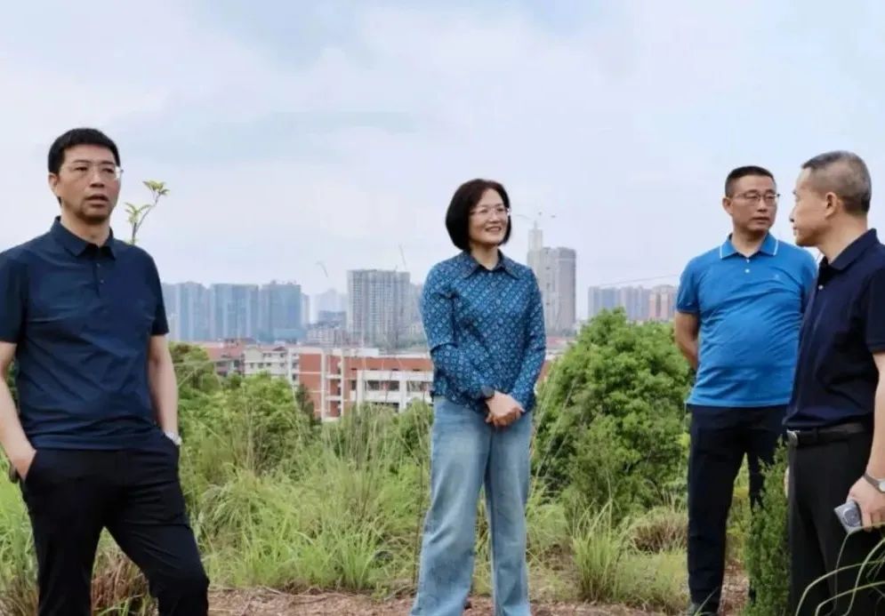 黄海蓉调研建设路项目建设工作