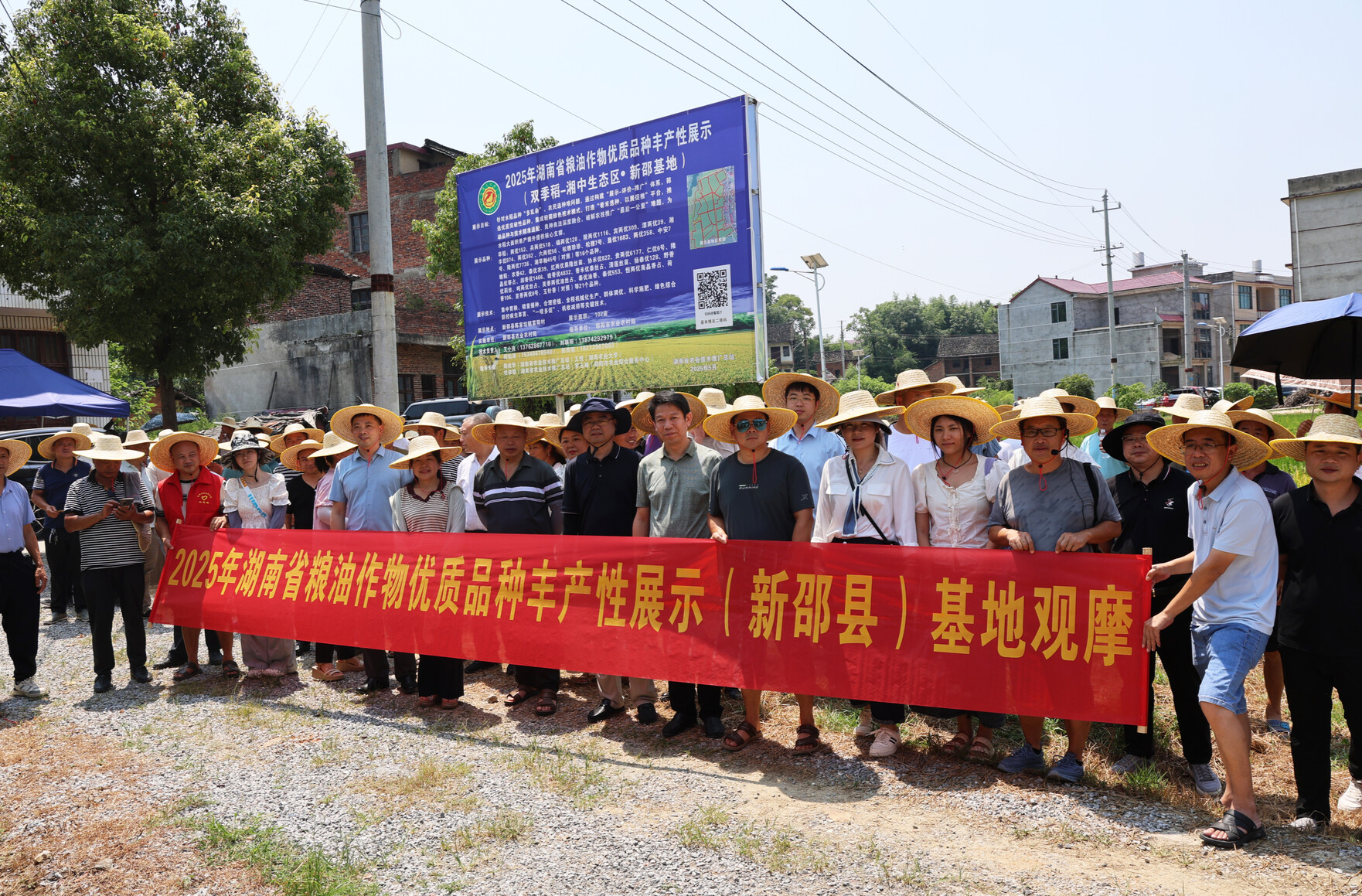 2025年湖南省早稻优质品种丰产性展示观摩活动在新邵县举行