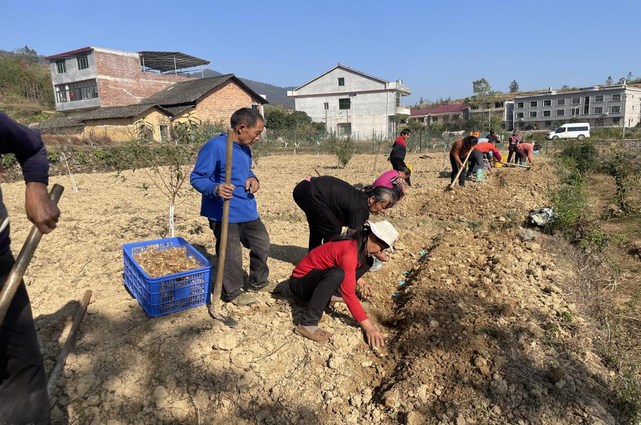 潭府乡：科技送暖 助农备耕迎丰年