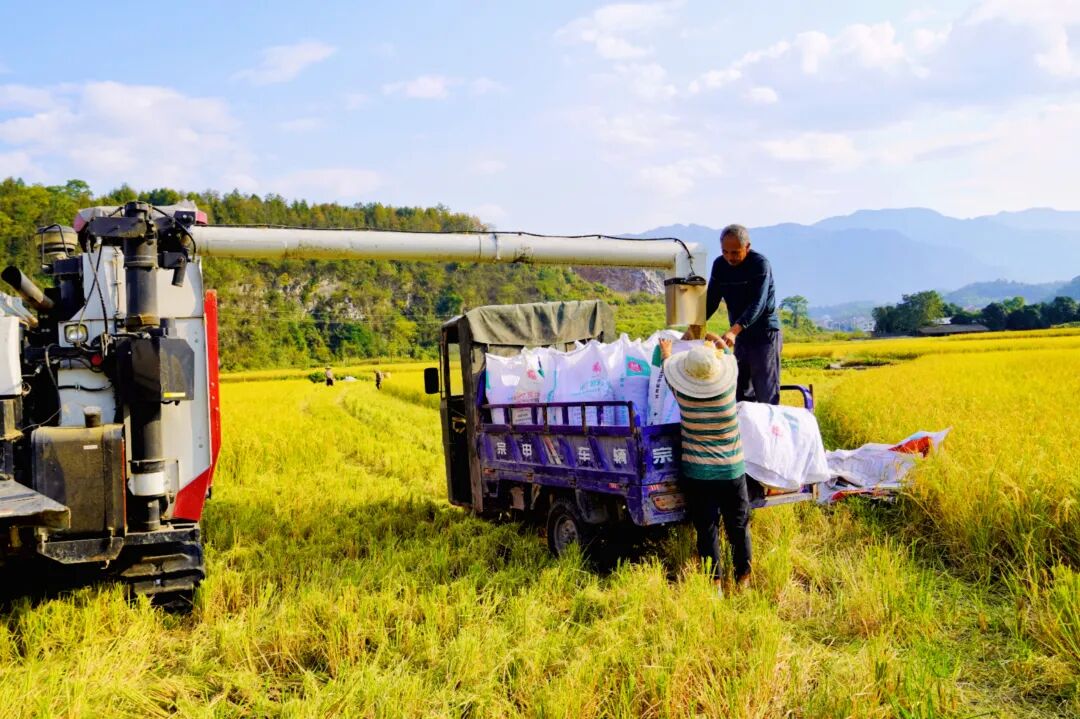【新邵好故事|新邵新农人】艾利铭：痴情种粮花甲翁