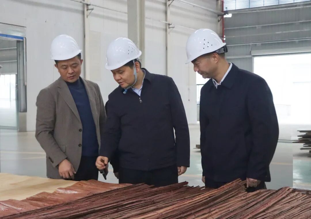 易洪海调研新邵县经济运行工作