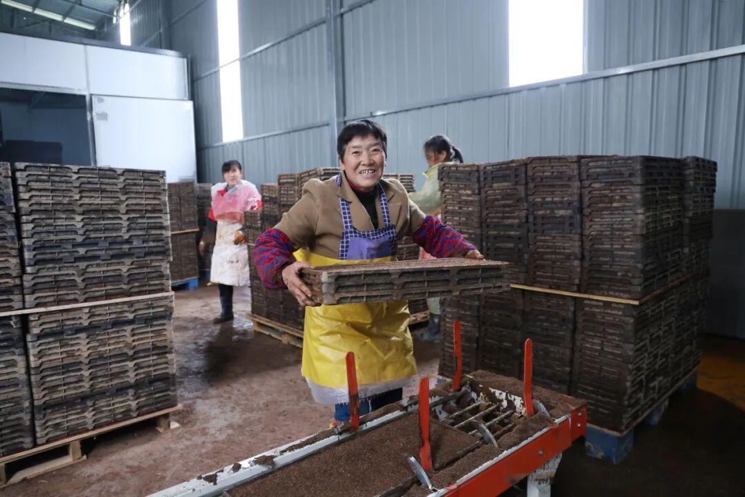 新邵：抢抓农时备春耕 开好丰产增收“局”