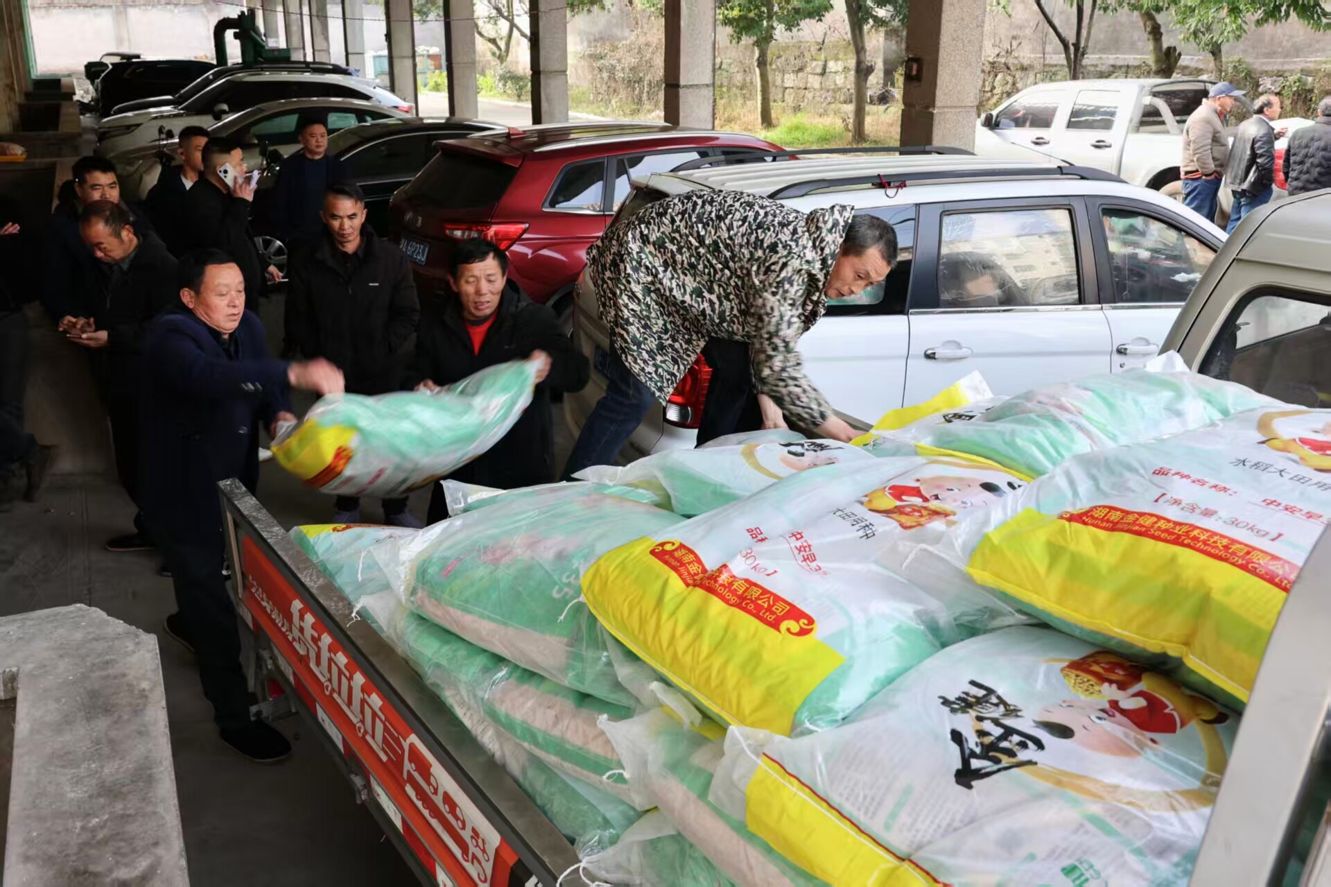 新邵：免费发放早稻种子 助力春耕备耕