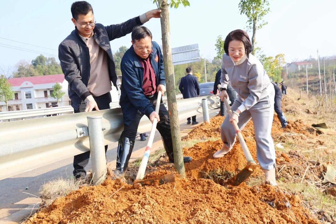 新邵县开展集中义务植树活动